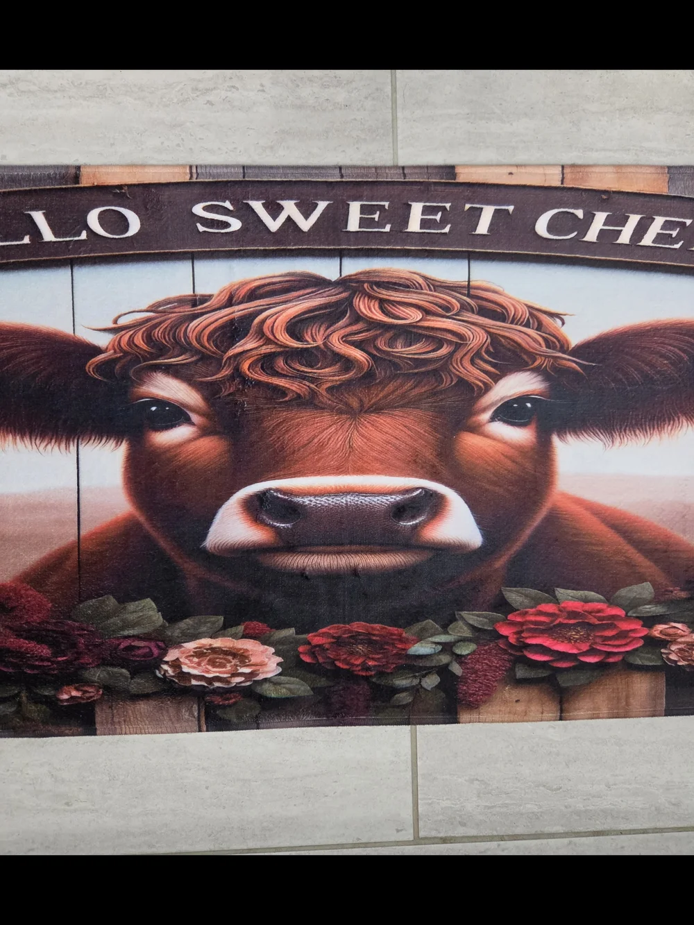 Hello Sweet Cheeks Cow Memory Foam Mat - Brown & Red Floral